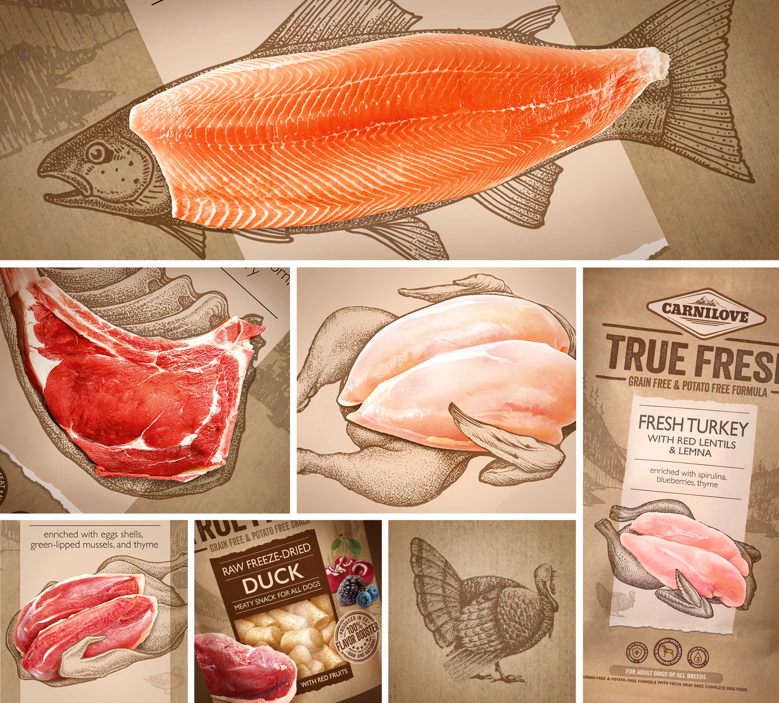 Carnilove TRUE FRESH品牌系列生凍干食品包裝設計(圖4)