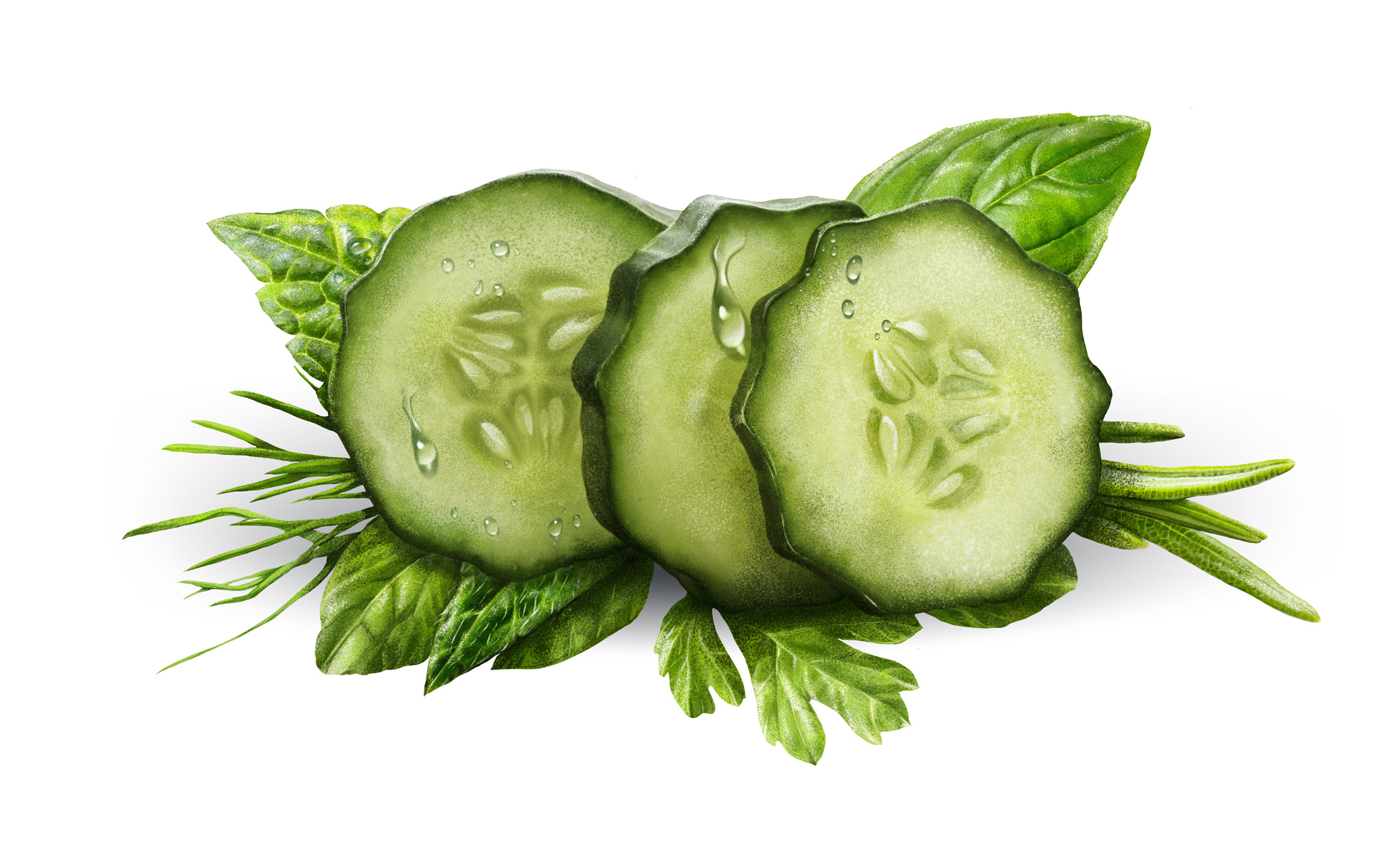 Saint-Justin_Cucumbers_Roberge-design-branding.jpg