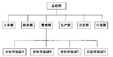 國(guó)際營(yíng)銷(xiāo)組織(圖4)