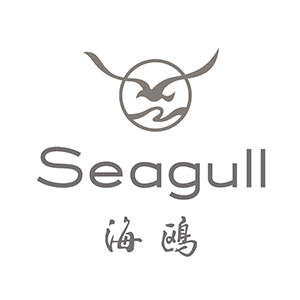 Seagull/海鷗相機(jī)