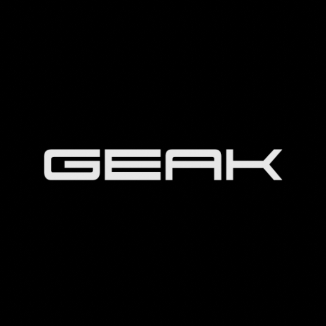 GEAK/果殼