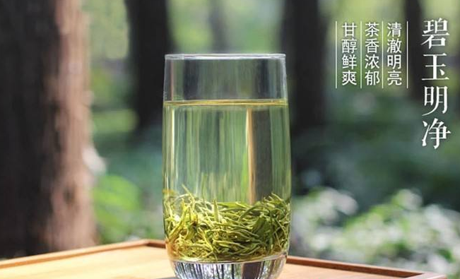 蘭嶺綠茶