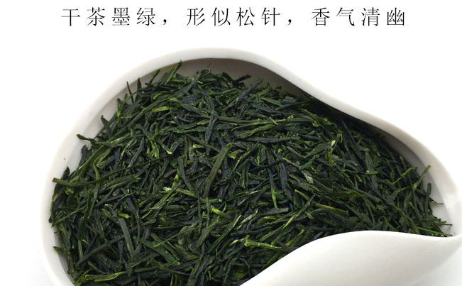 新林玉露蒸青綠茶