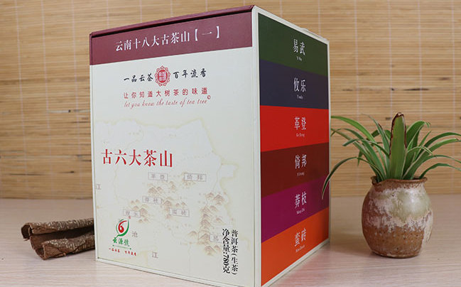 云源號普洱茶