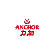 Anchor力加