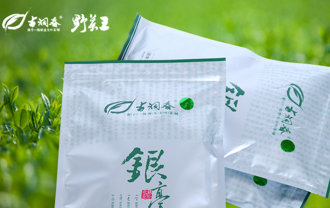 古洞春野茶王