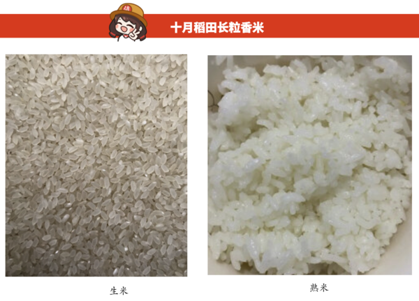 SHI YUE DAO TIAN 十月稻田 长粒香大米 5kg包装设计欣赏 (图2)