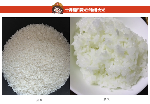 SHI YUE DAO TIAN 十月稻田 贡米 长粒王 东北香米 5kg包装设计欣赏 (图2)