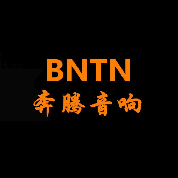 BNTN/奔腾