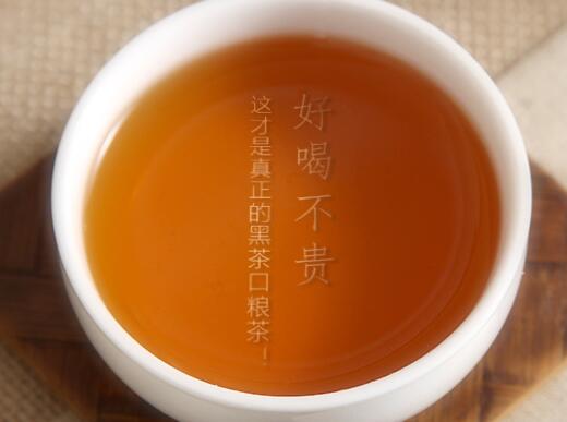 安化黑茶品牌logo与食品包装设计欣赏(图2)